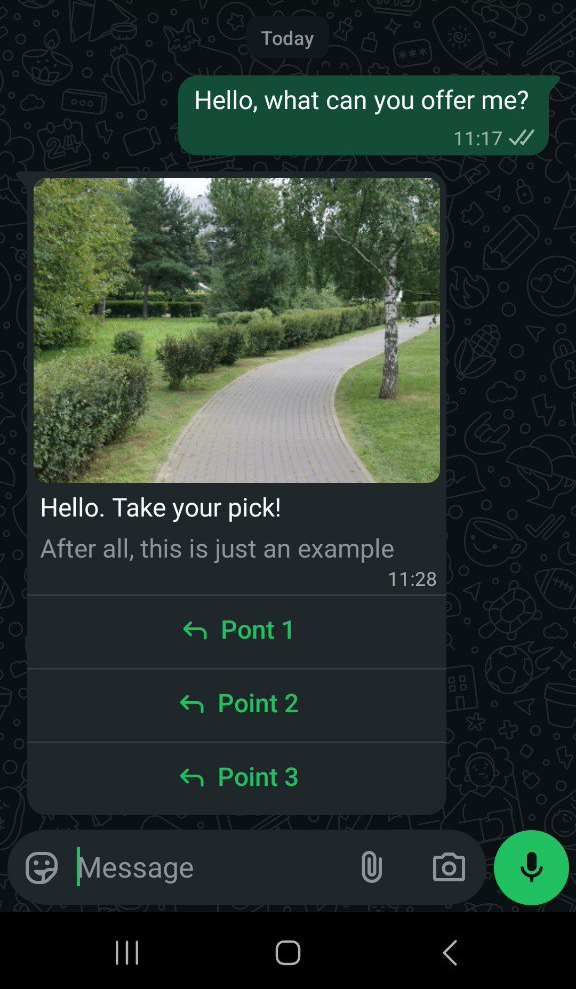 Send a message with buttons and an image to WhatsApp